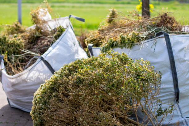 Demolition Debris Removal in The Plains, OH